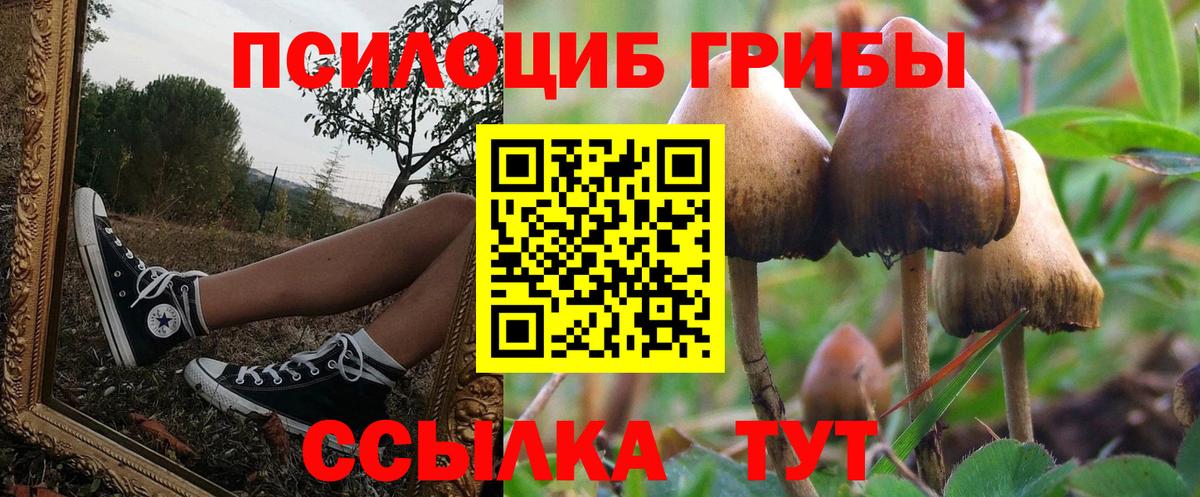 Псилоцибиновые грибы мицелий  Вход с VPN  Воркута  Псилоцибиновые грибы ЛСД 